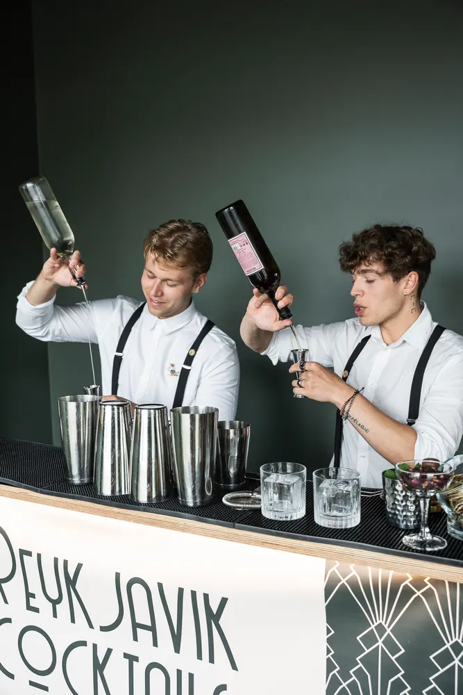 Reykjavík Cocktails - veisluþjónusta í Reykjavík