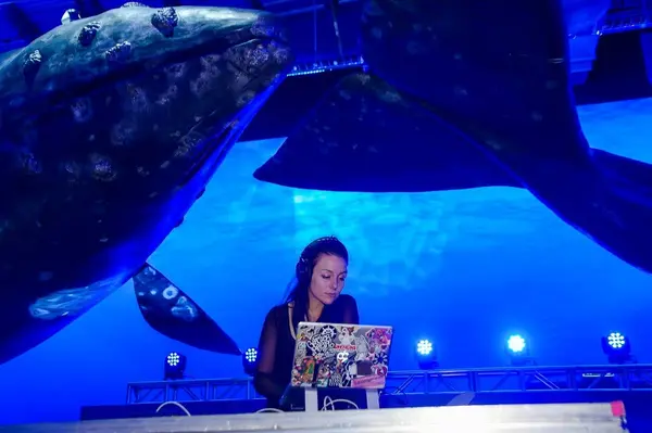 DJ Sunna Ben - tónlistarþjónusta á höfuðborgarsvæðinu (3)