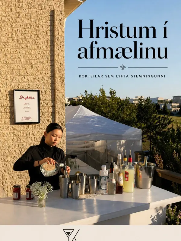 Kokteilakennsla - afþreyingarþjónusta á höfuðborgarsvæðinu (4)