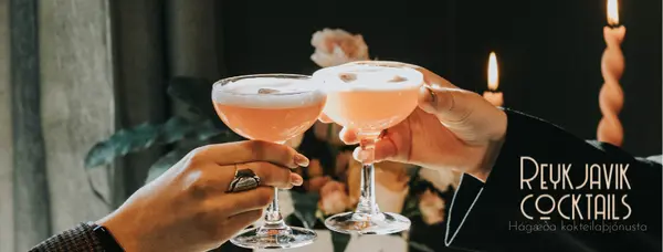 Reykjavík Cocktails - veisluþjónusta í Reykjavík (1)
