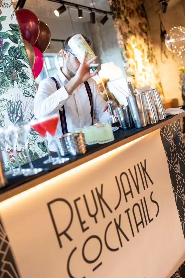 Reykjavík Cocktails - veisluþjónusta í Reykjavík (3)