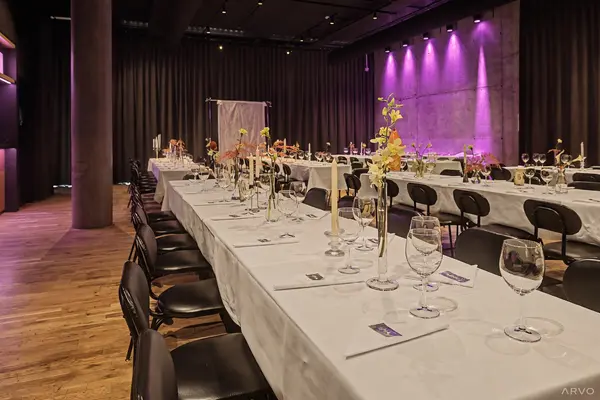 Sykursalur - veislusalur fyrir 200 manns í Reykjavík (5)